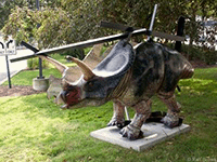 Torn Torosaurus