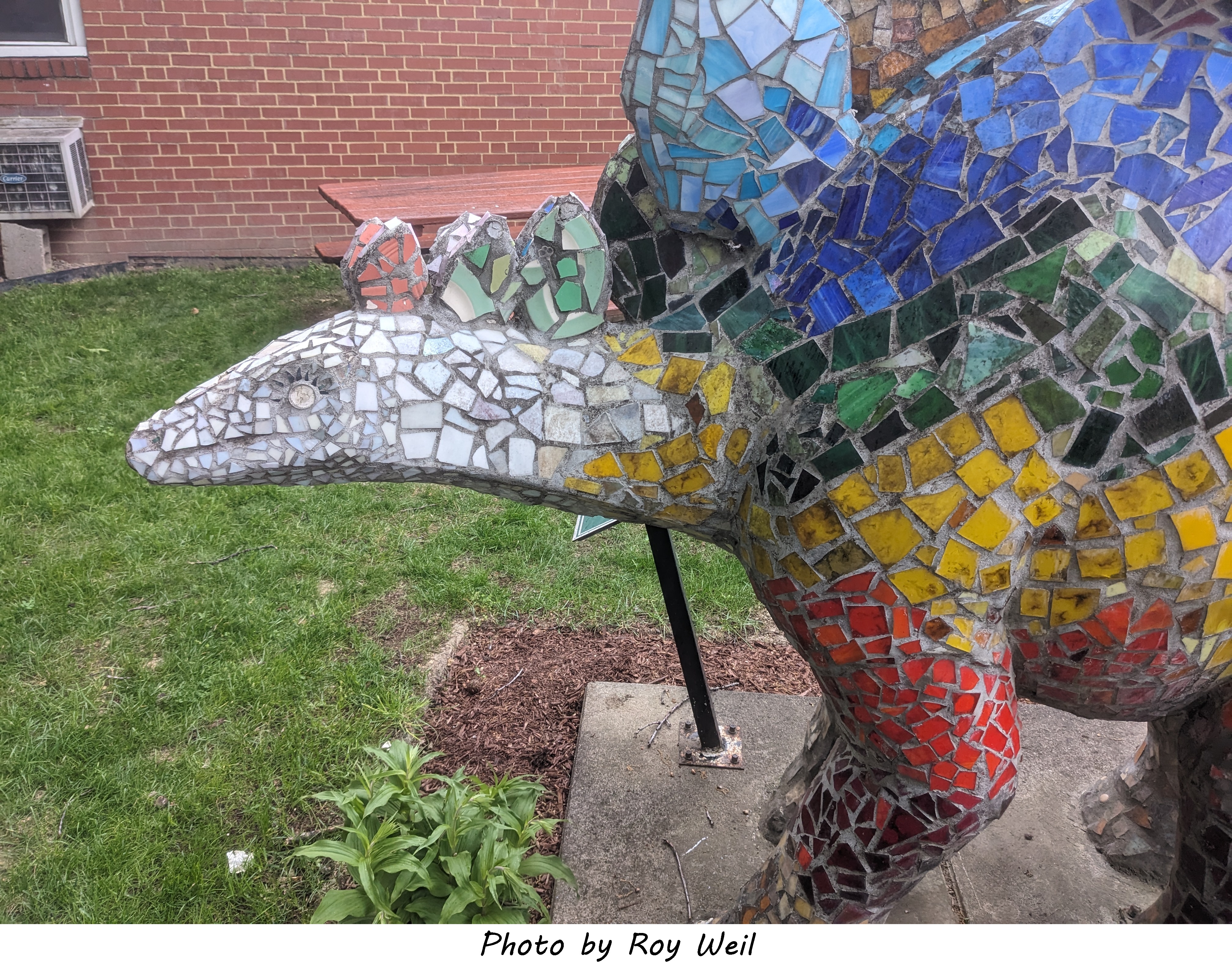picture of the Plato dinosaur - ellis_15_PXL_20260522_194455563.jpg