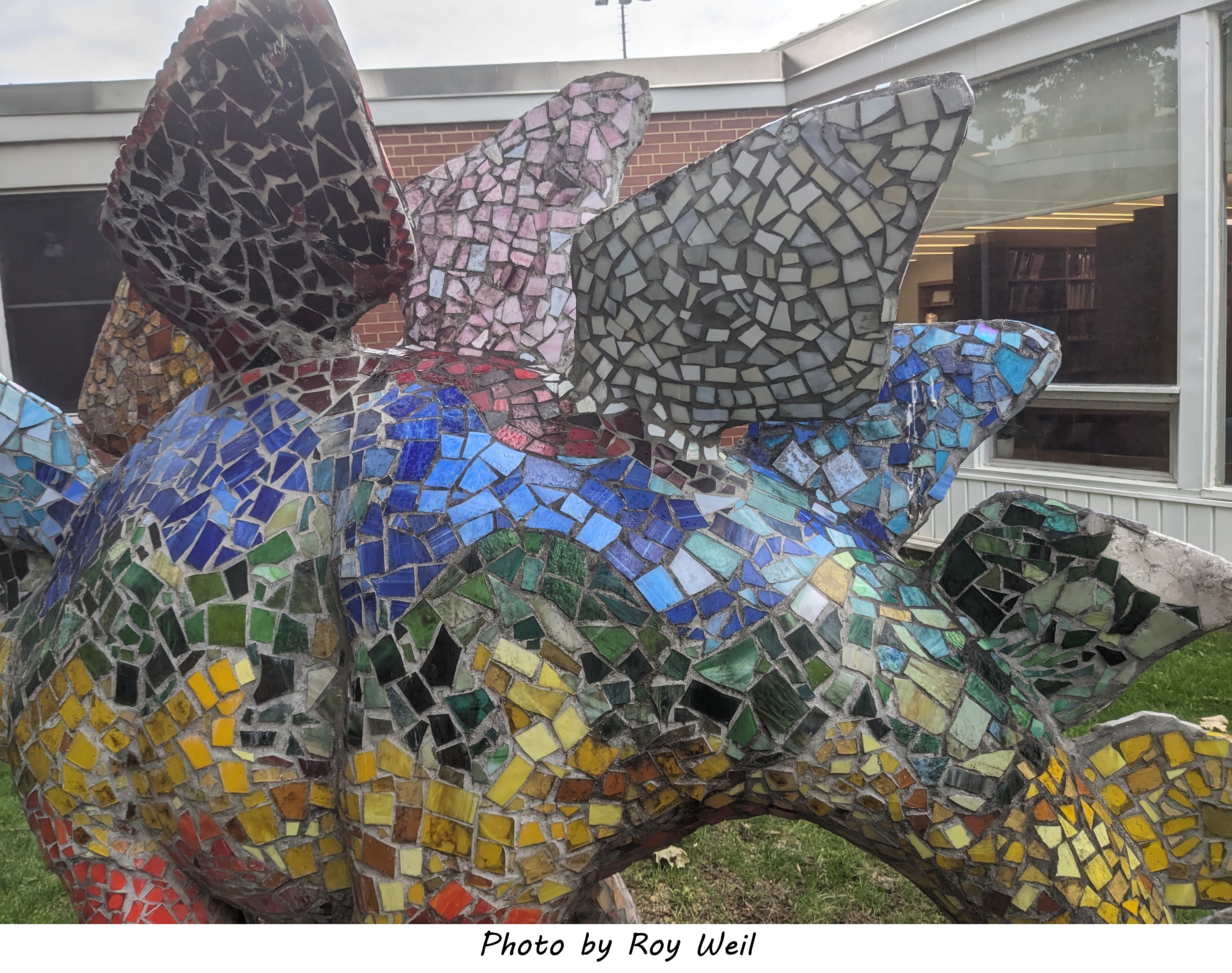 picture of the Plato dinosaur - ellis_16_PXL_20260522_194448578.jpg